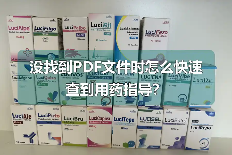 没找到PDF文件时怎么快速查到用药指导？